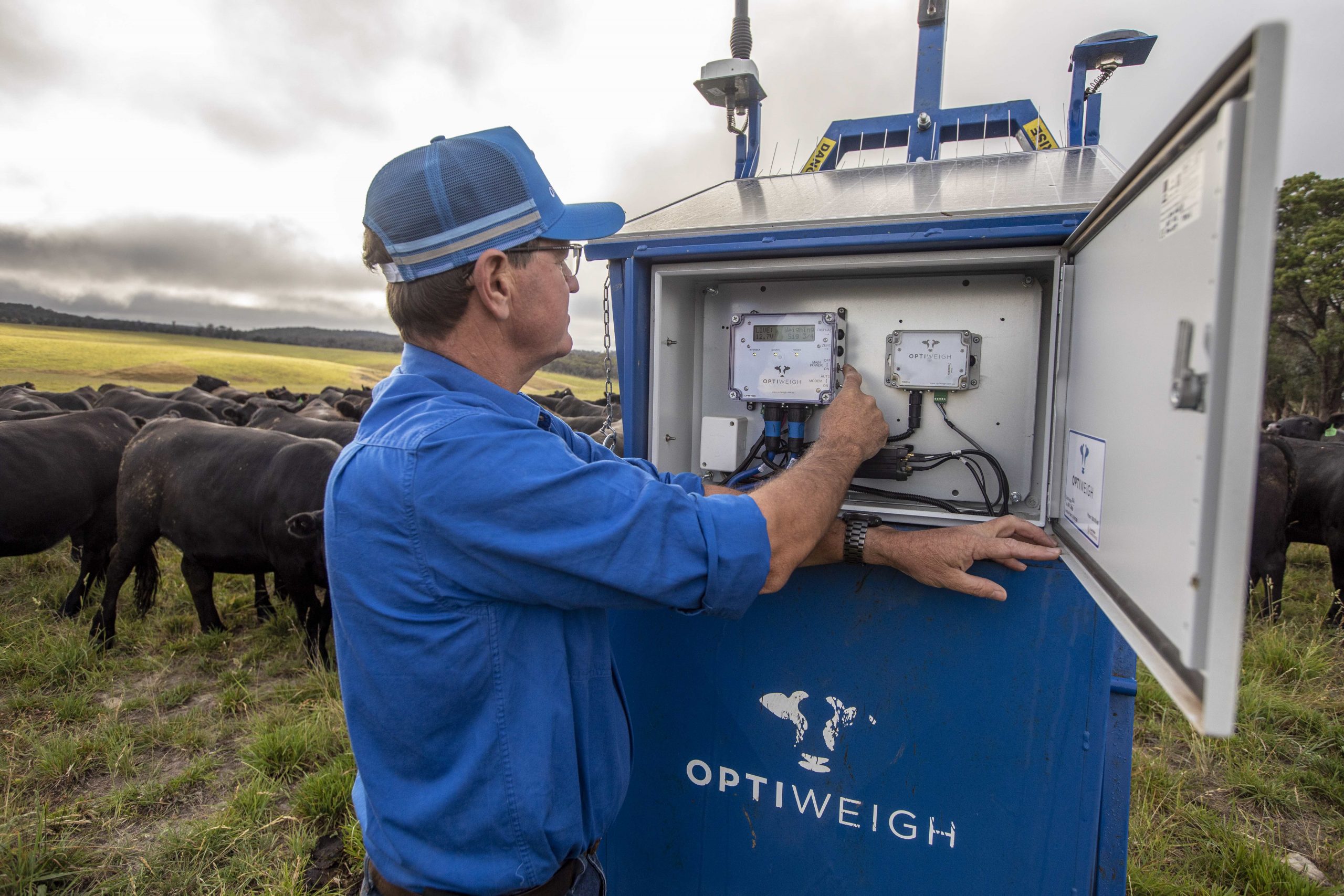 Bill Mitchell Optiweigh - Agritech (Supplied by AgriFutures Australia)